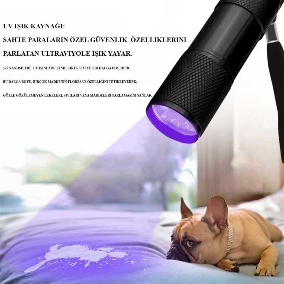 Ultraviole Para Kontrol Işığı Wt-302