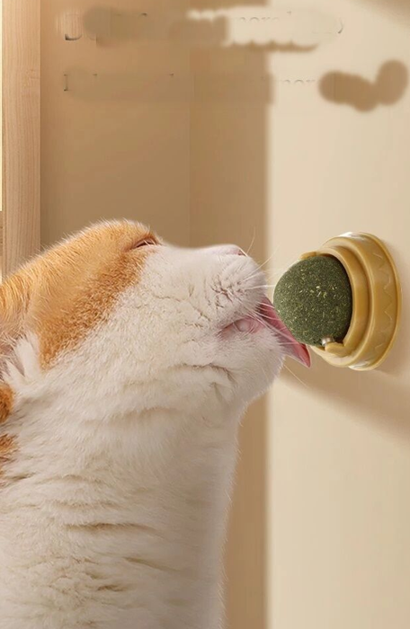 Pet Shop